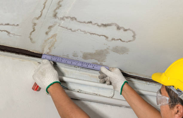 Reliable Water Damage Repair contractor in Jonesboro, LA by Hirex Water Damage